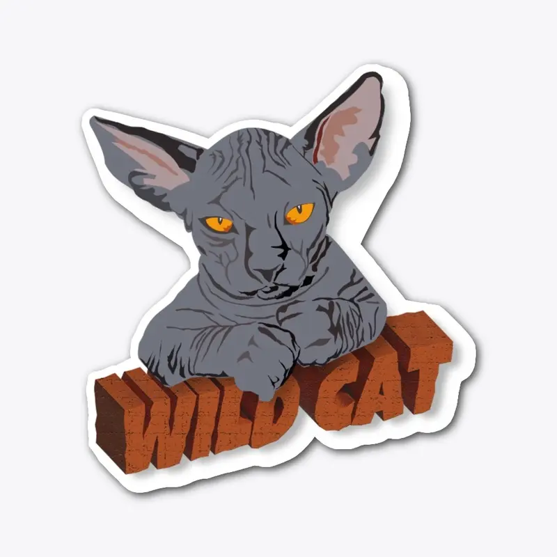 Wild cat Sphynx