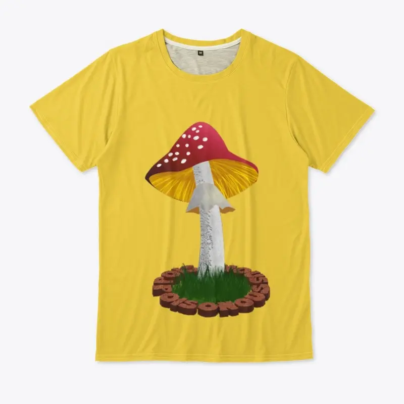 Fly agaric mushroom